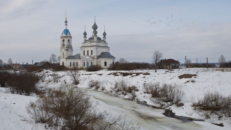 Грачи пока не прилетели. фото превью