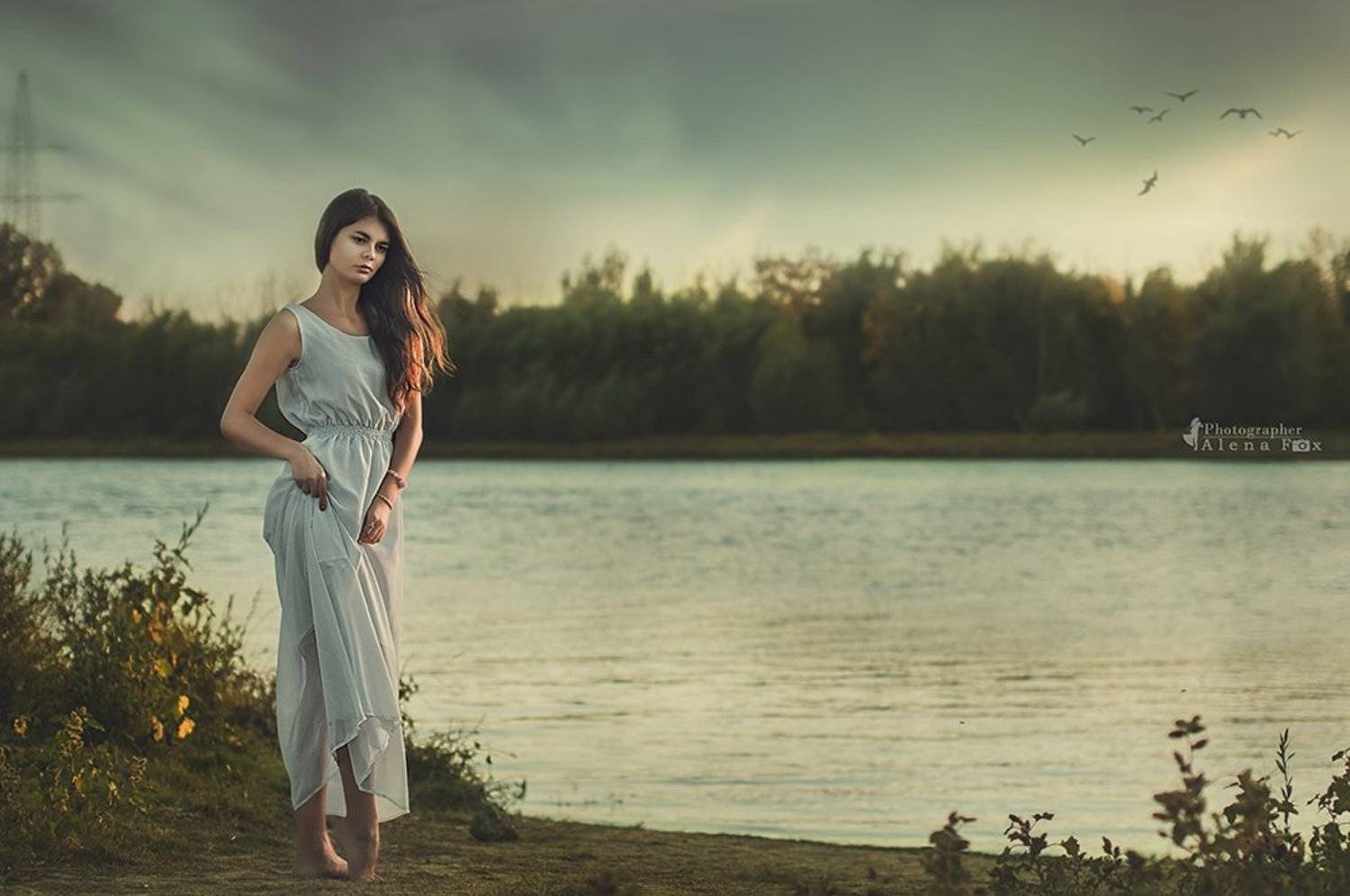 , Фотограф Алена