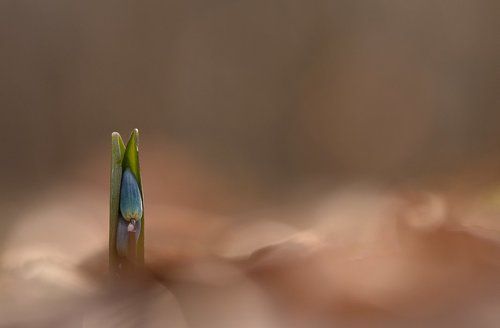 Я в домике...
