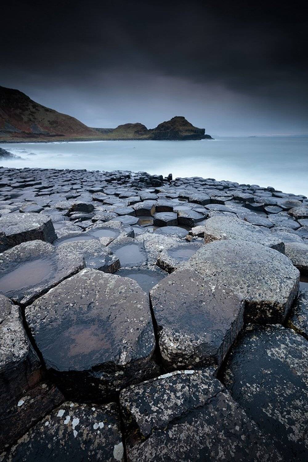 , Питенин Дмитрий