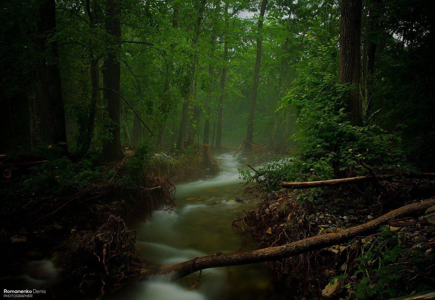 , Романенко Денис