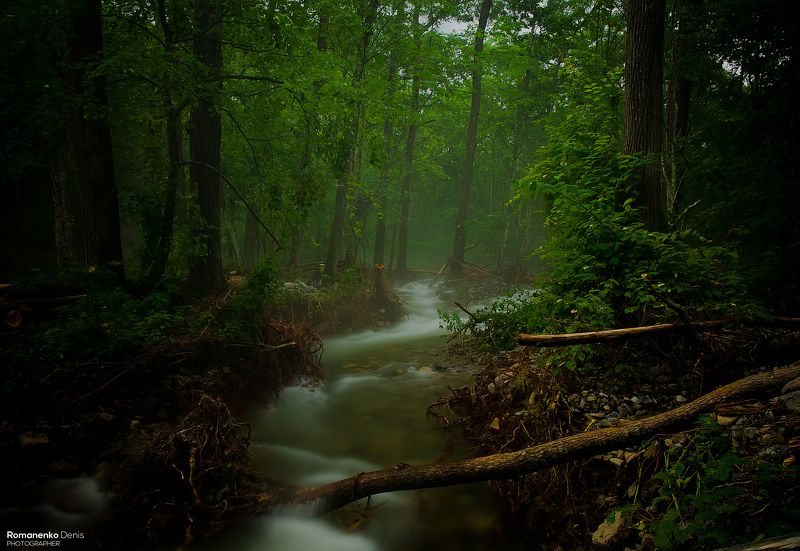 По ручьям Фалазы. фото превью