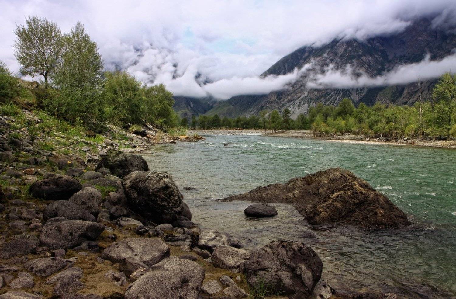 , Галина Хвостенко