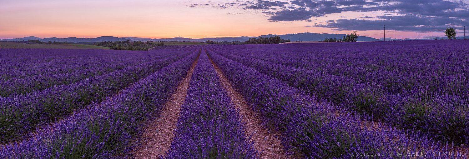 France, Landscape, Lavender, Provence, Sunset, Valansole, Вадим Жигулин