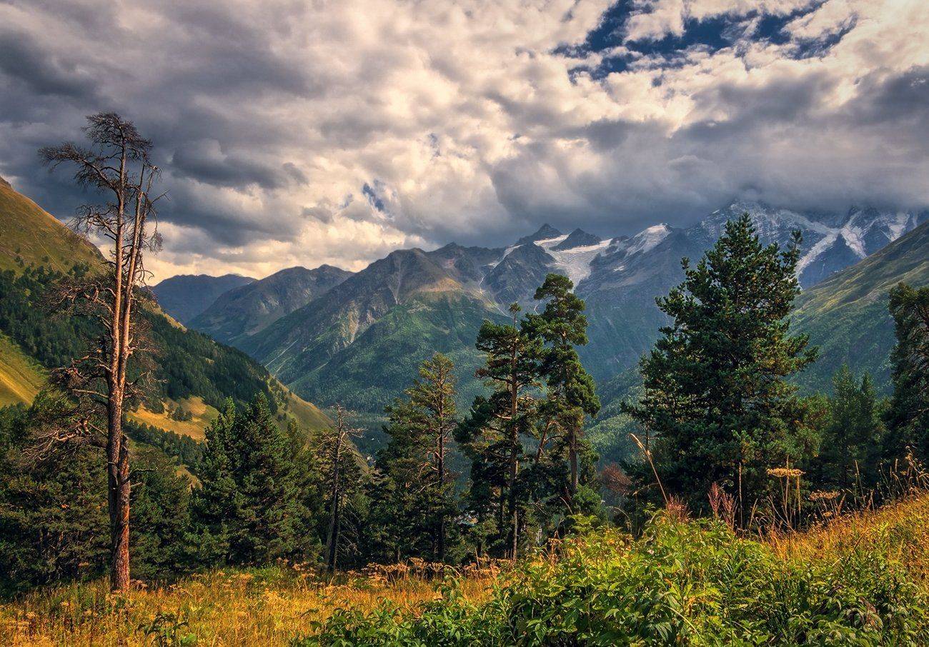 , Игорь Мелекесцев