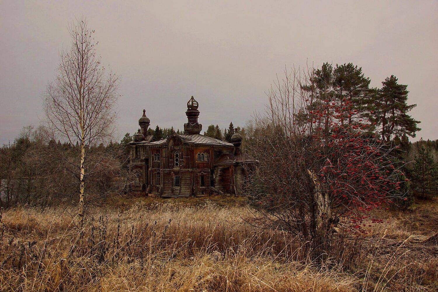 , Петр Косых