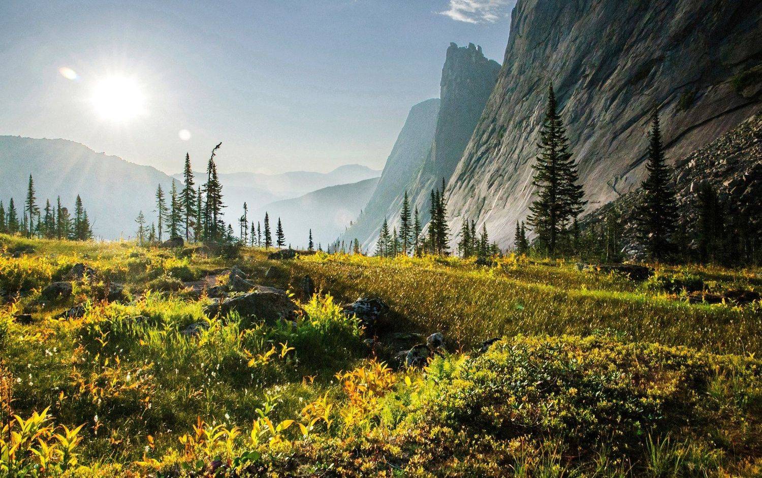 , Алексей Кретов