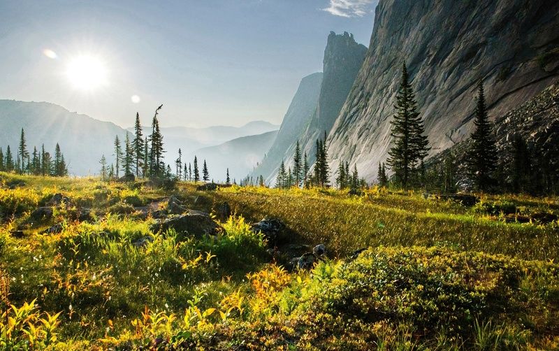 утро в долине реки Тайгишонок фото превью