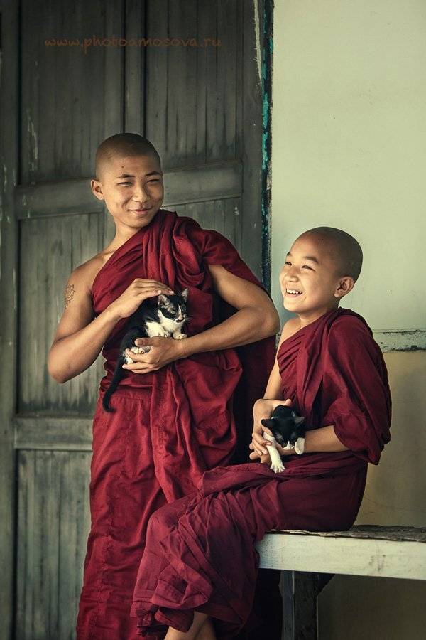 , Ирина Амосова