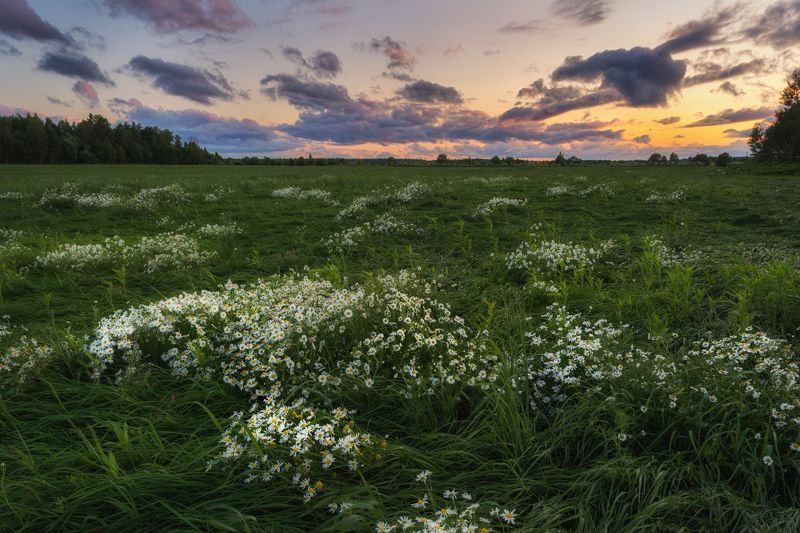 Лужайка фото превью