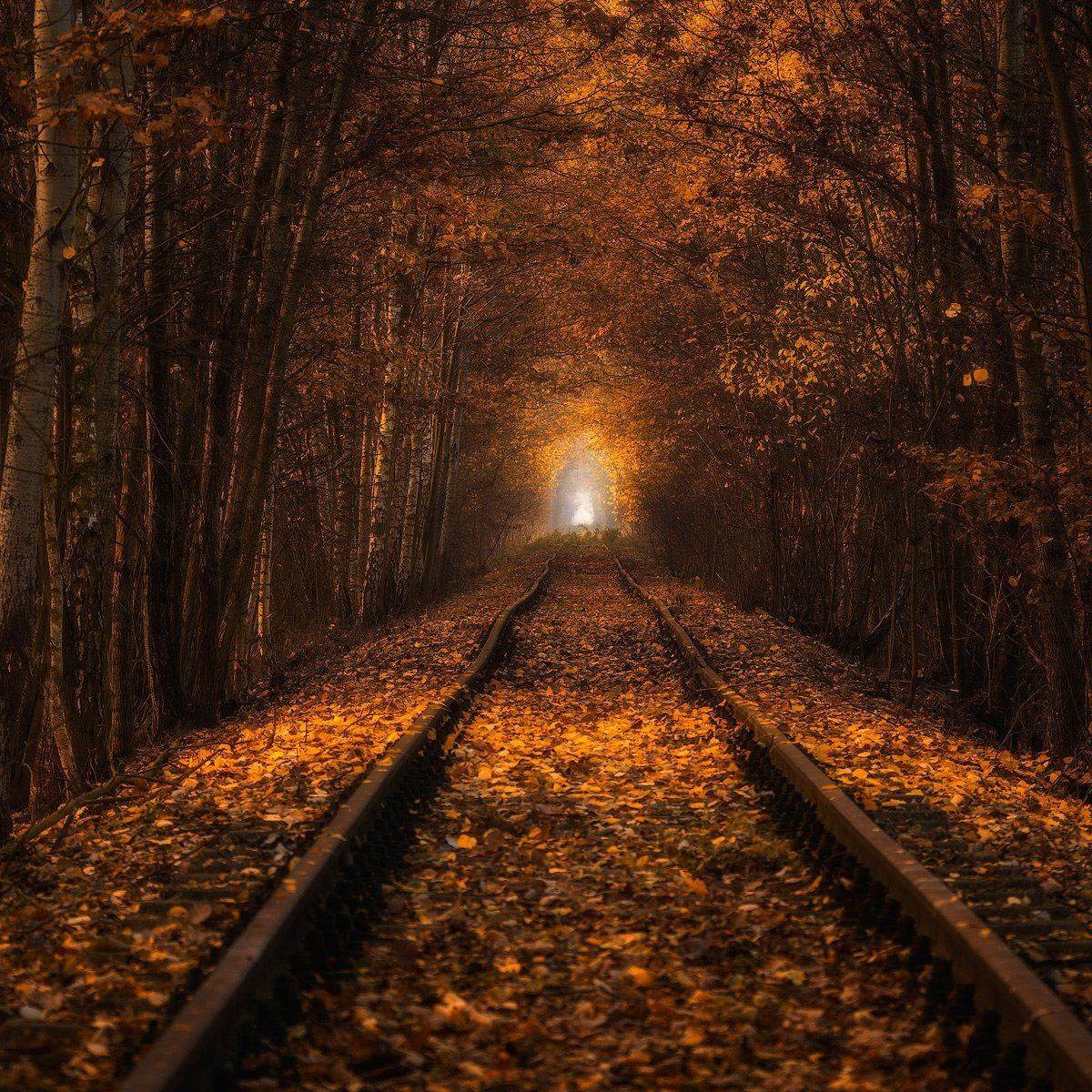 , Pawel Uchorczak