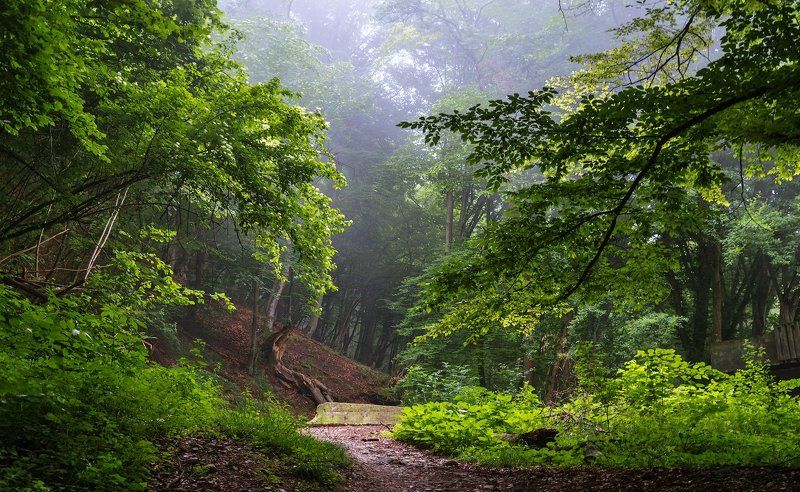 Из майских воспоминаний фото превью