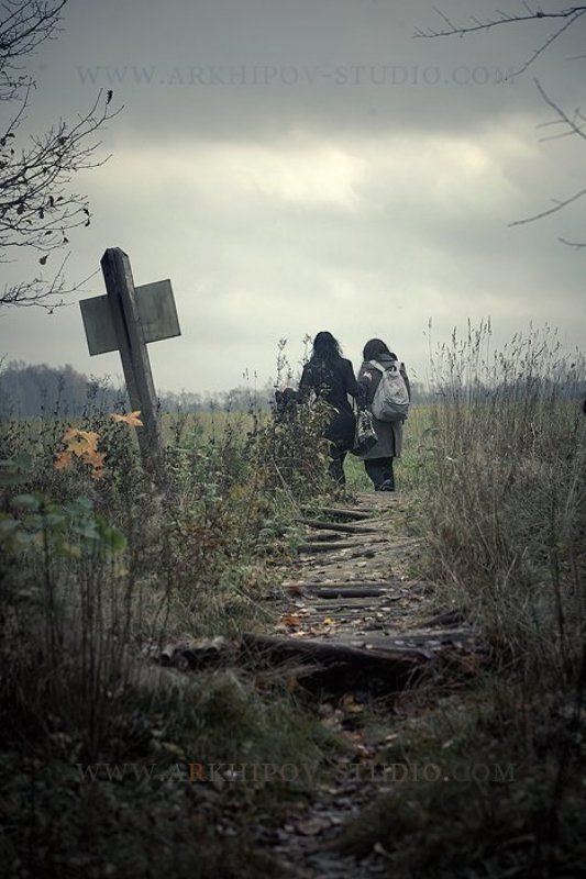 Дорога от сюда фото превью