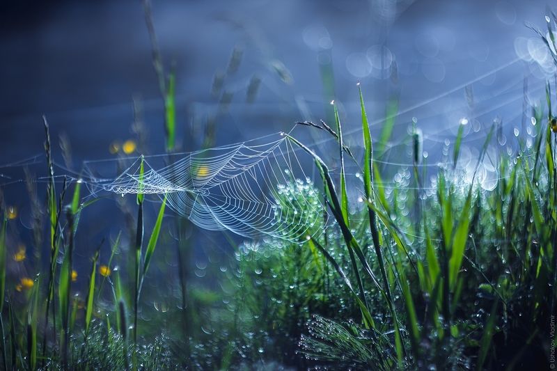 Ловушка плохих снов фото превью