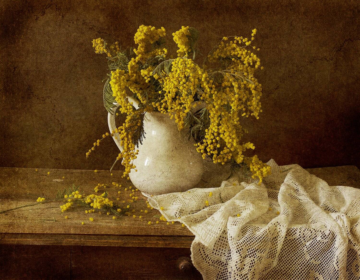 , Синегубова Ольга