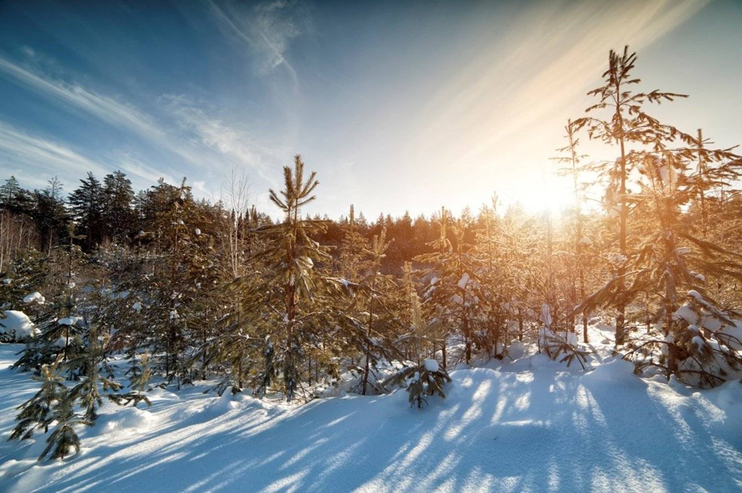 Белорецкий район, Снег, Солнце, Сосны, Утро, Алексей Верзун