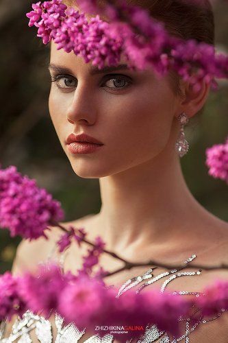 purple flowers
