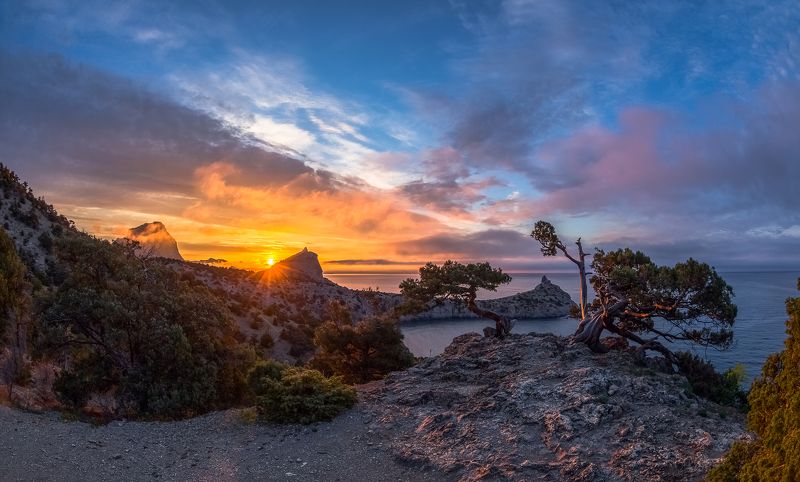 Встречая весеннее солнце. фото превью