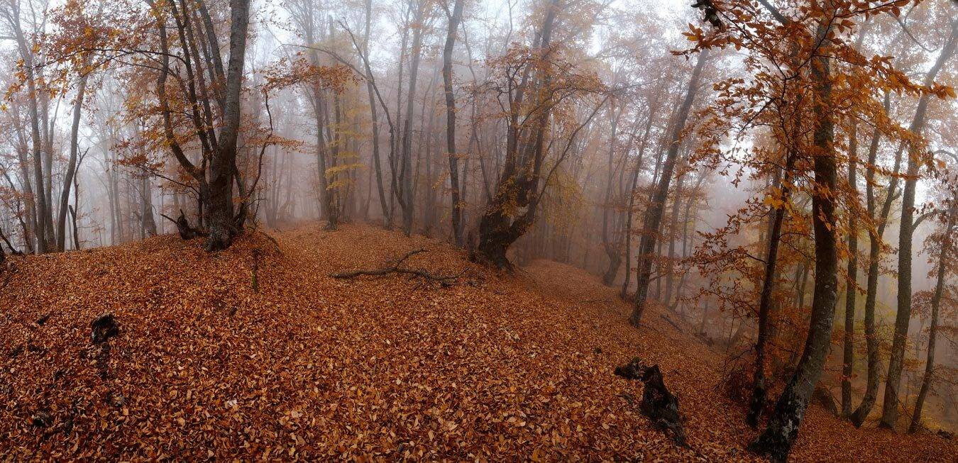 , Олег Логунов