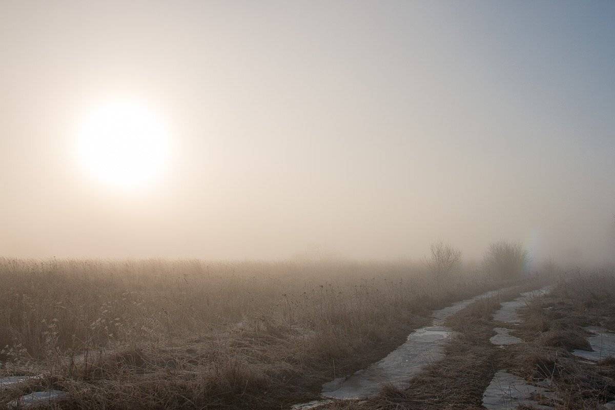 туман, Александр