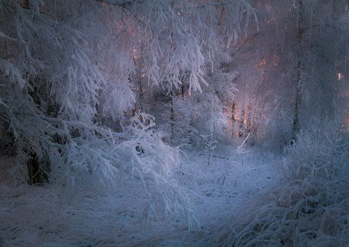 В зимнем царстве