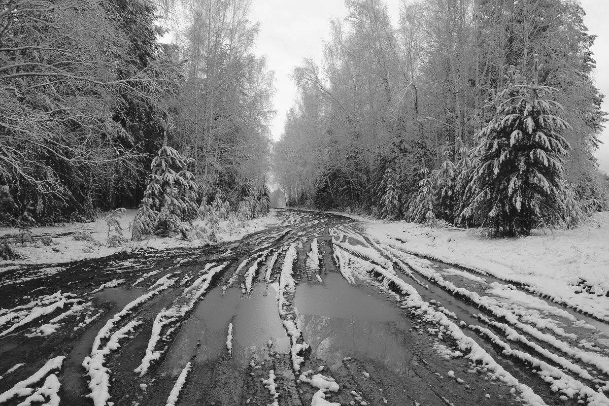 , Николай Морский