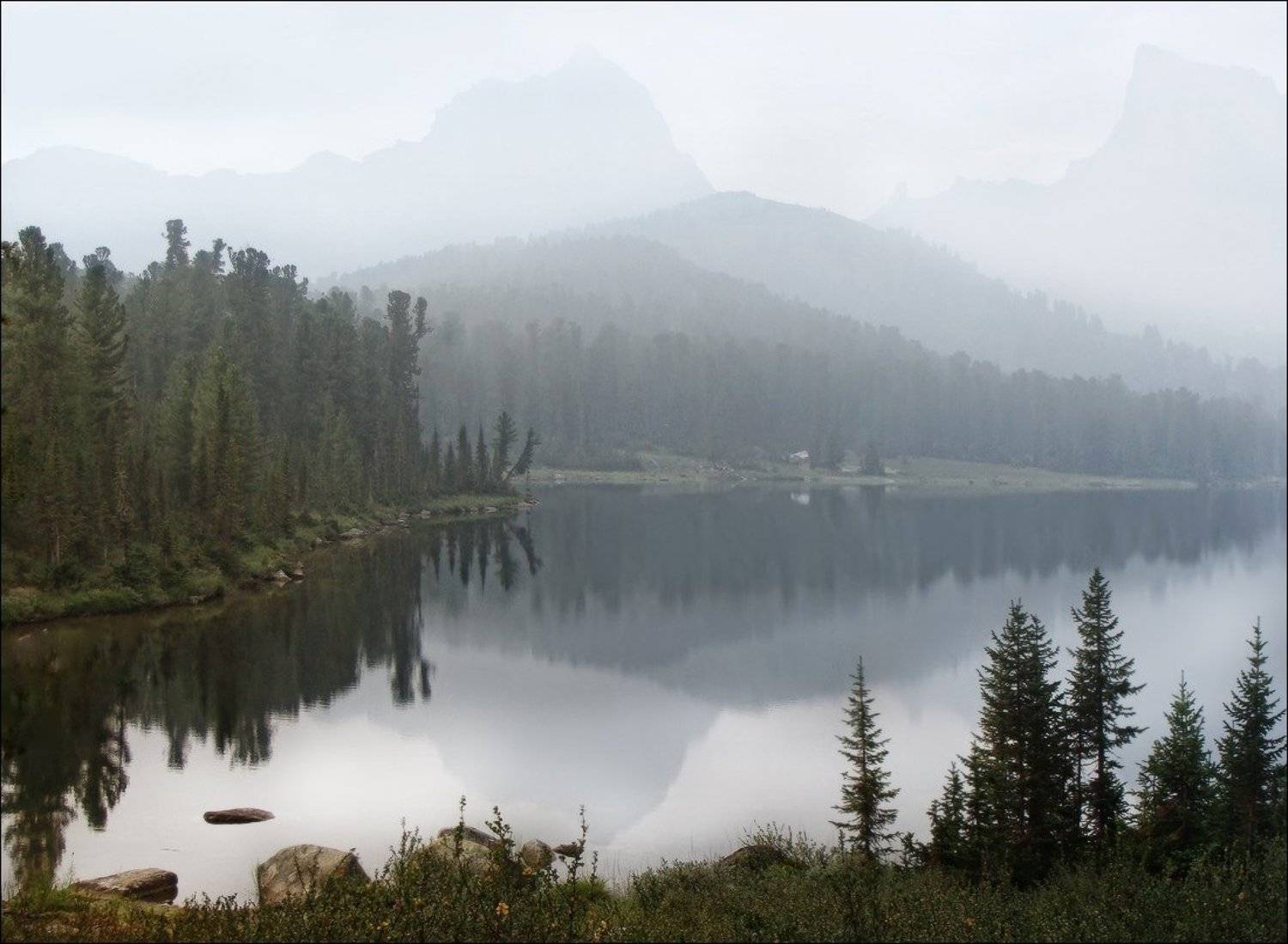 , Галина Хвостенко