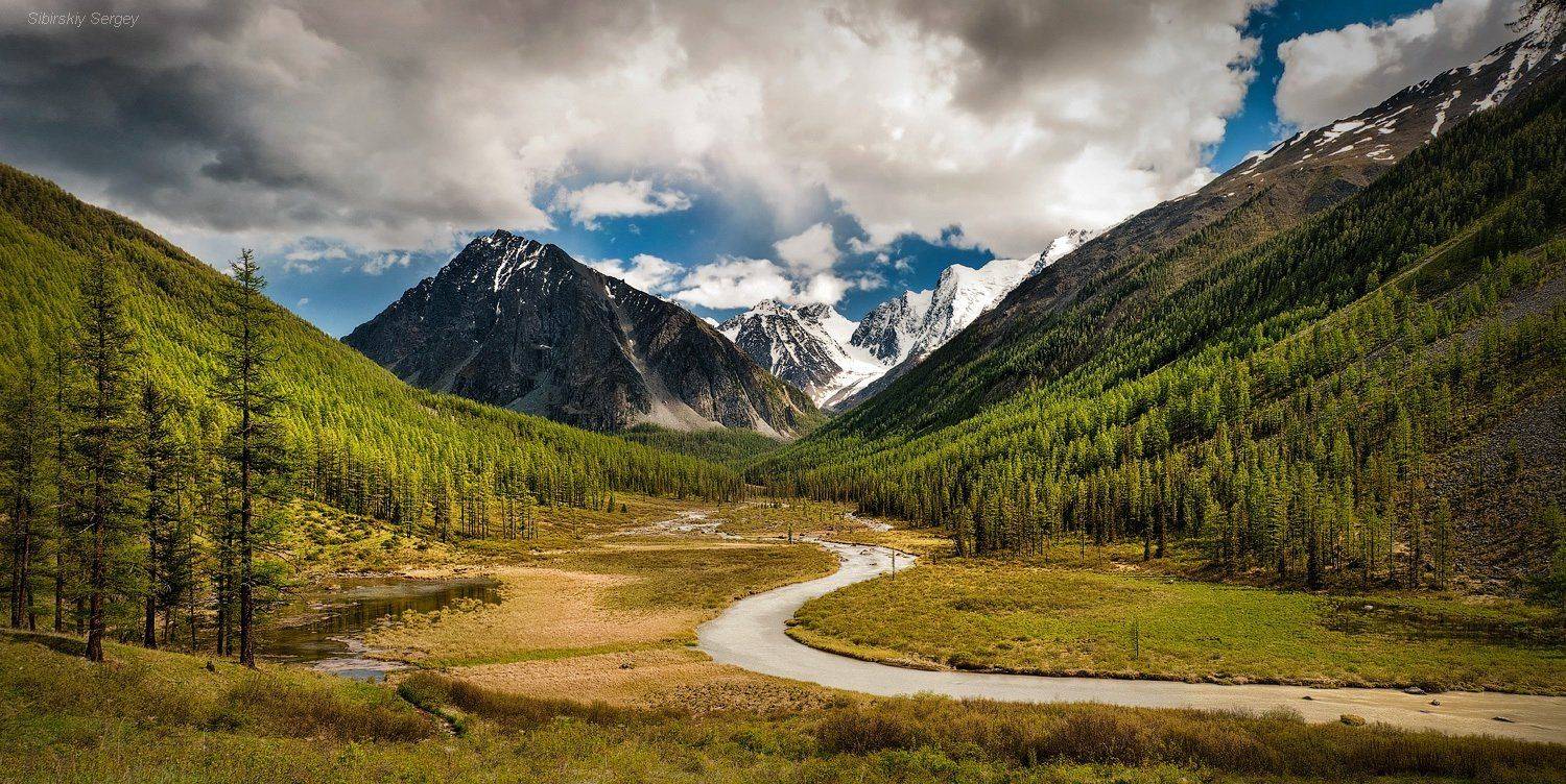 алтай, шавла, Сибирский Сергей