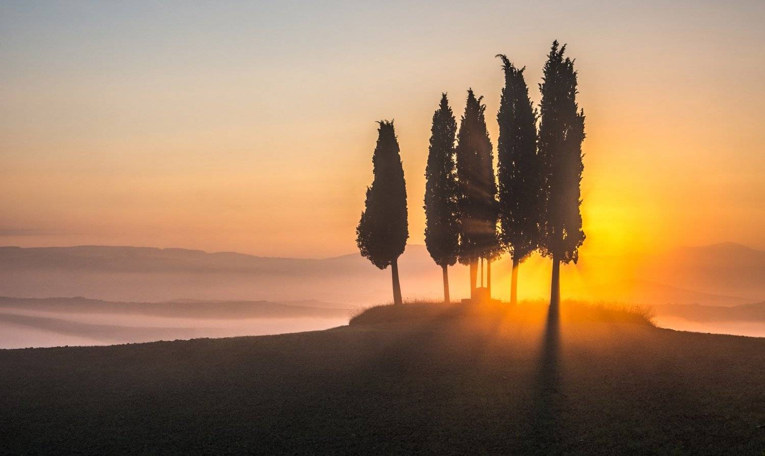 , Ашот Григорян