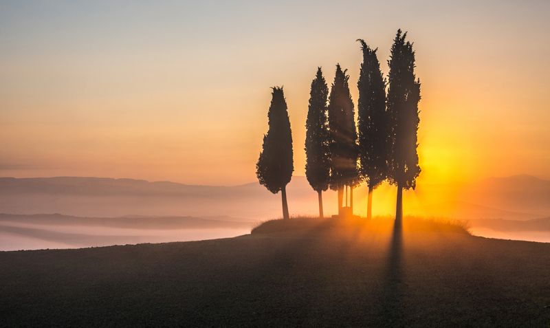 В ЛУЧАХ ВОСХОДЯЩЕГО СОЛНЦА. Из серии \