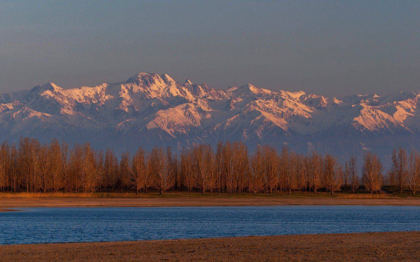 весна, вечер, сорбулак, талгар, Ольга Кулакова