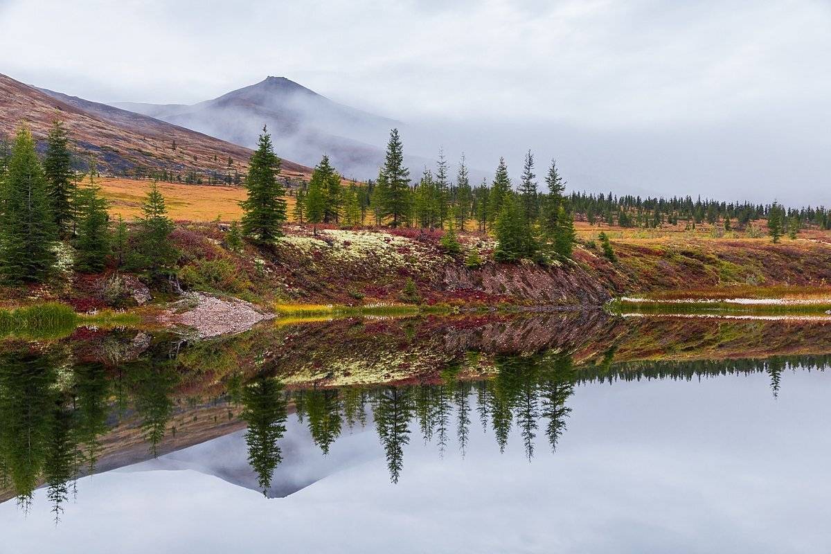 якутия, север, туман, осень, фототур, Кирилл Уютнов