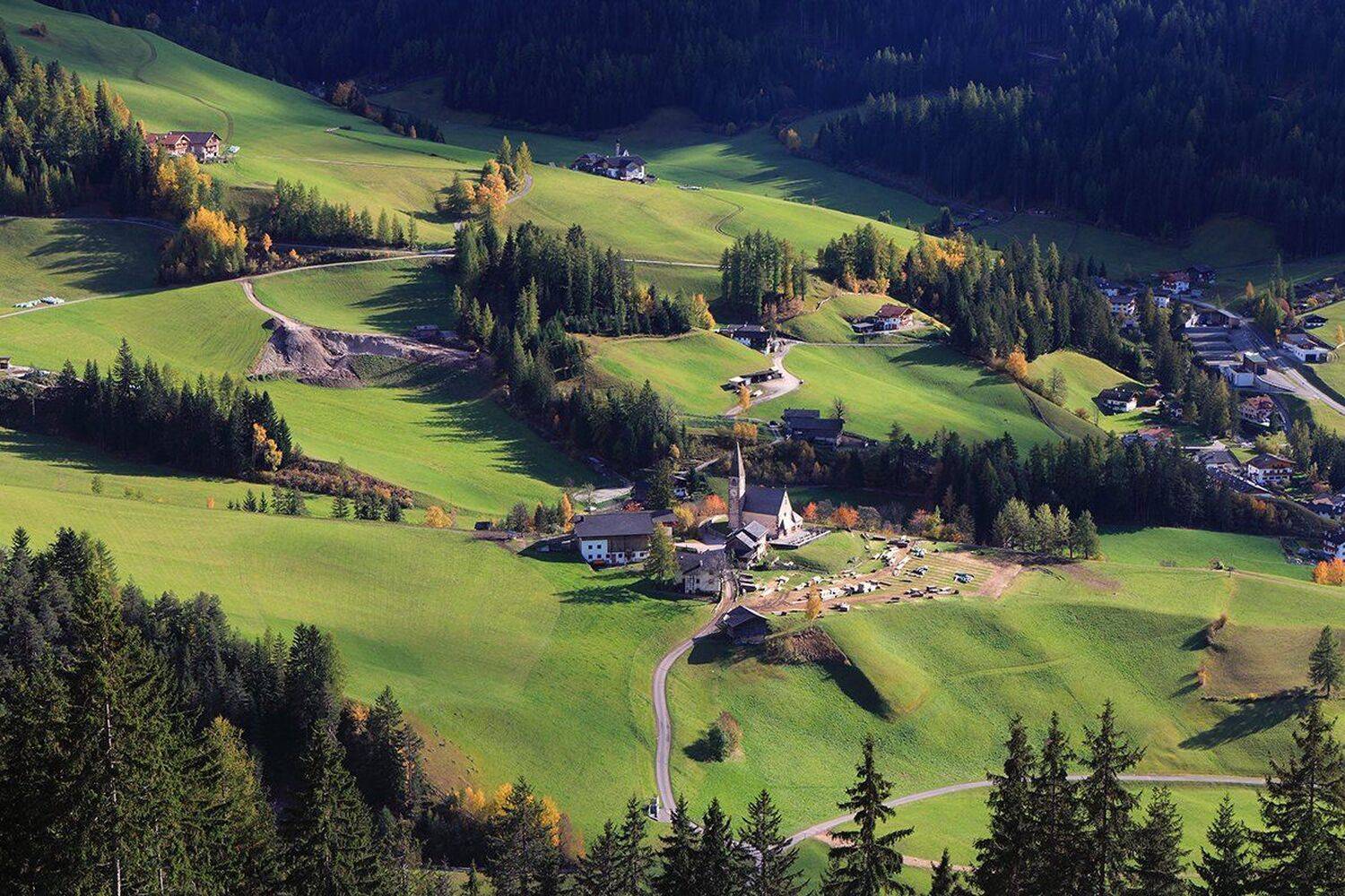 , Игорь Дубровский