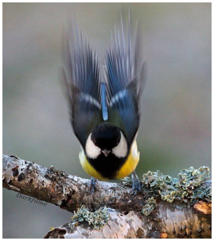 , Георги Славов