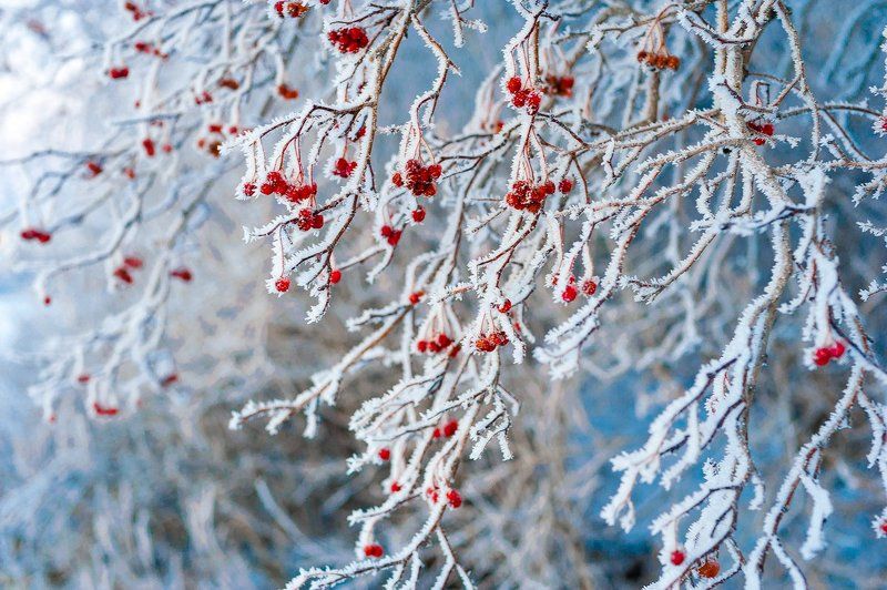 Тёплый холод фото превью