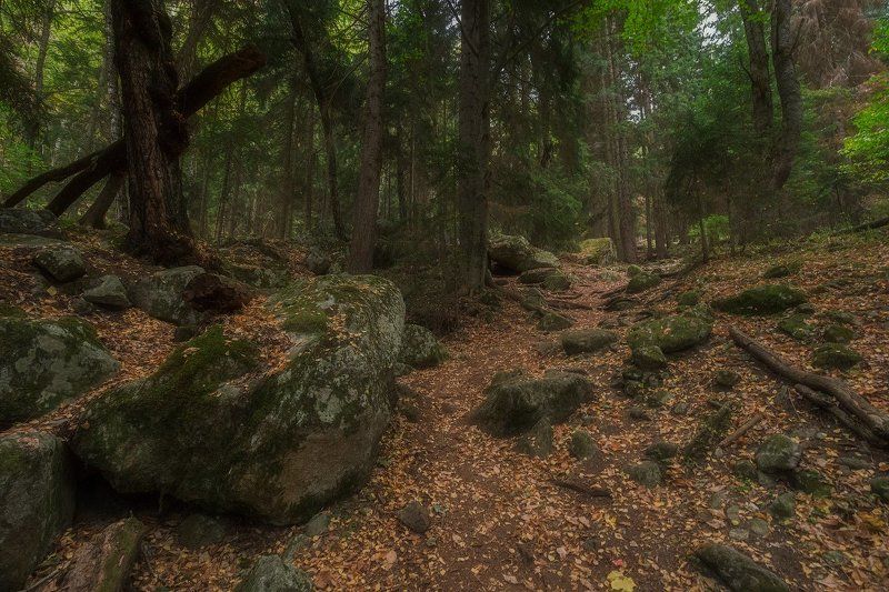 По дороге к Шумке.. фото превью