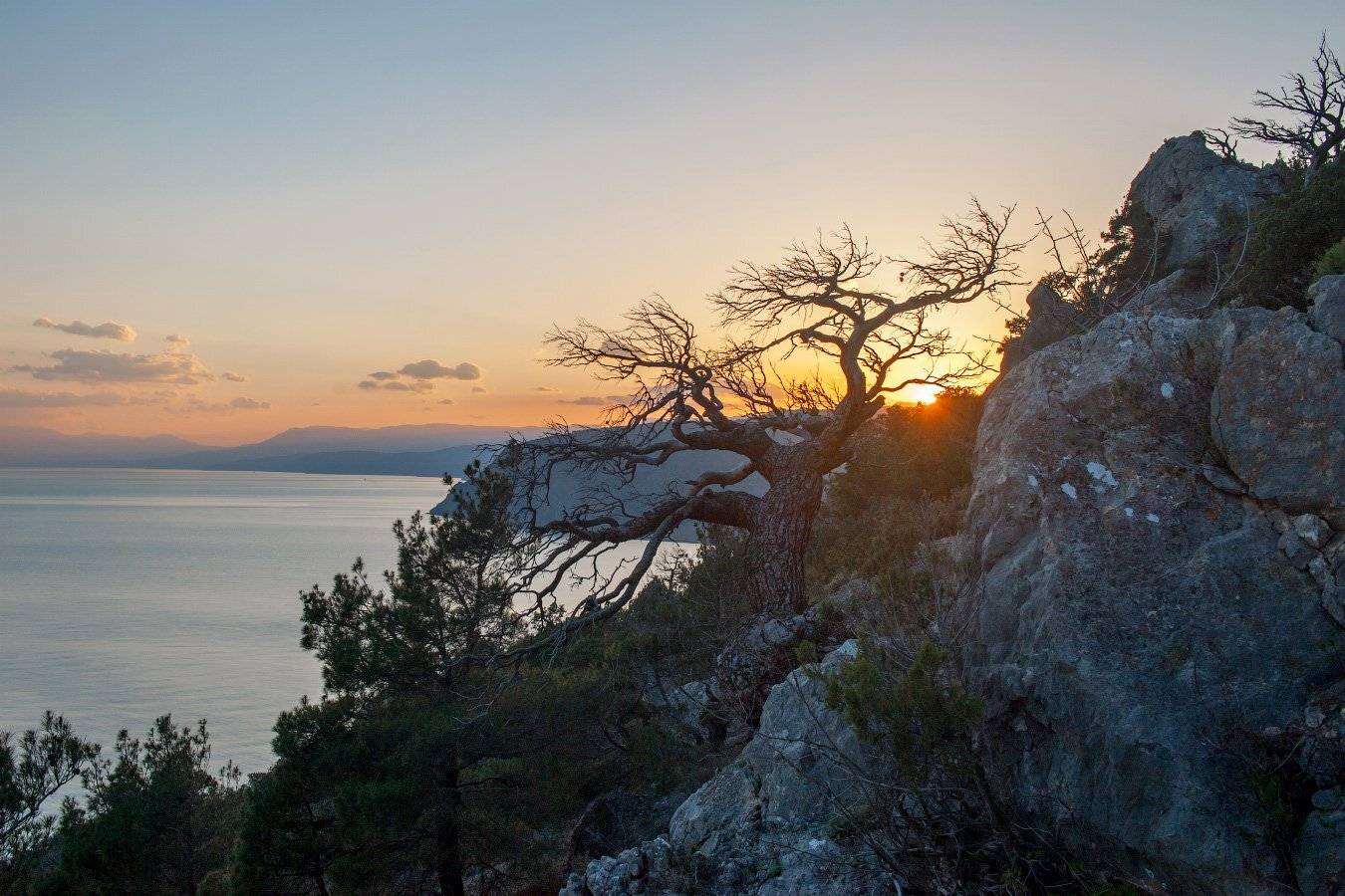 , Олег Логунов