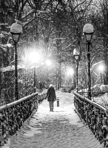 киев парк шевченко