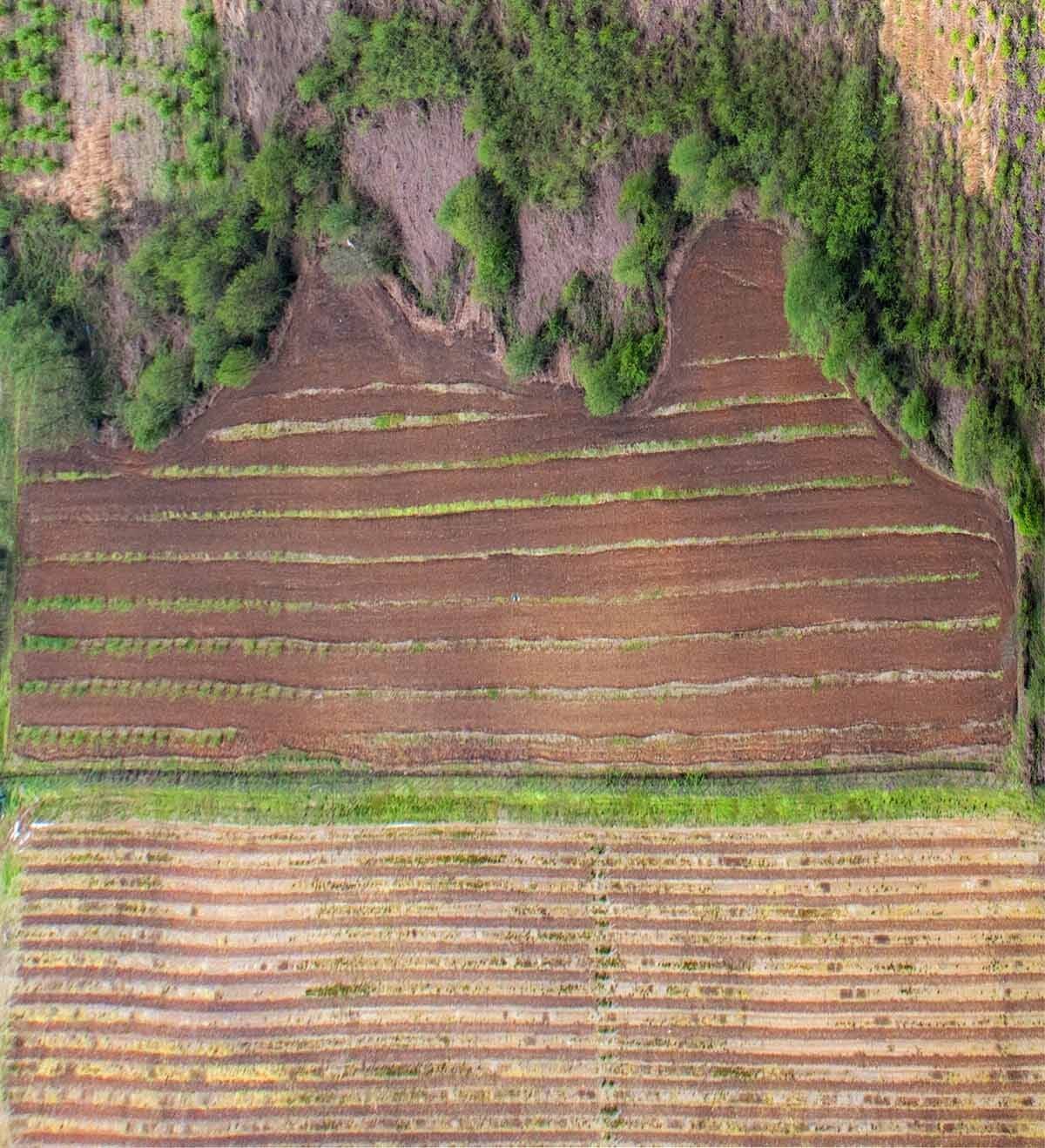 Абхазия, поля, грядки, аэро, aerial, Борис Резванцев