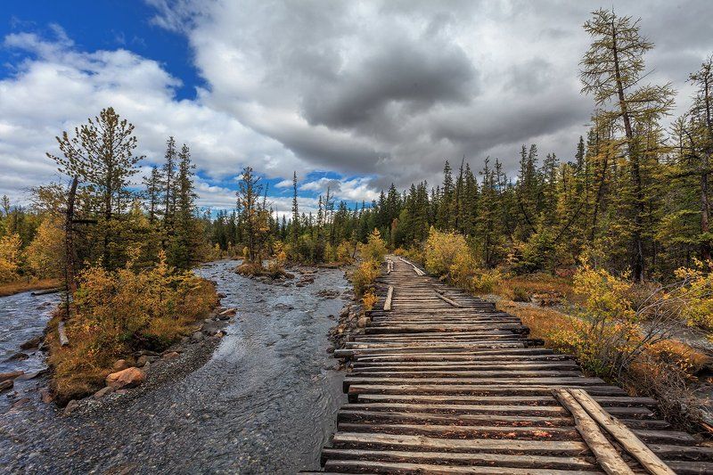 Дороги Алтая фото превью