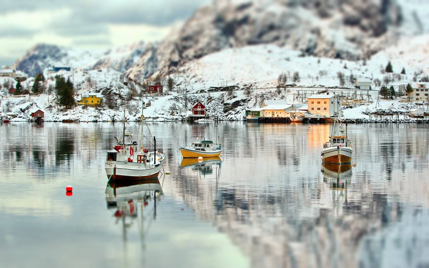 , Александр Перов