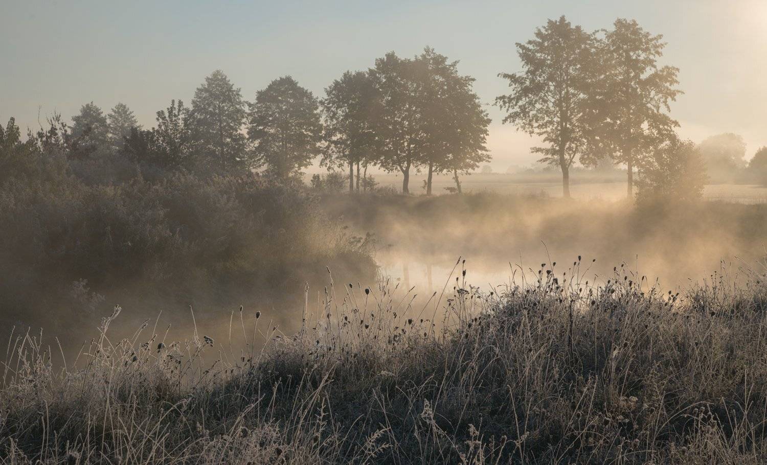 , Николай Шахманцир