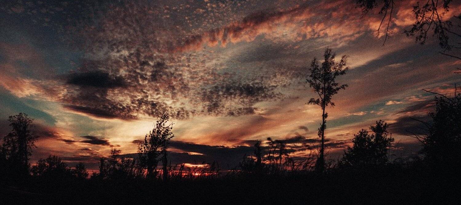 , Аркеев Марат