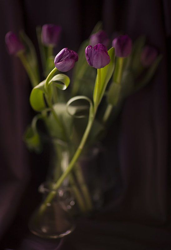 ... фото превью