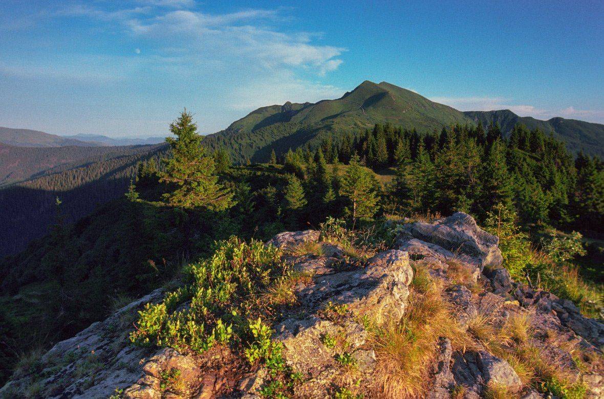 , Ярослав Тюрменко (Jaremi)