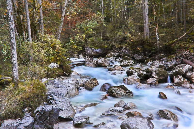 Сказки волшебного леса фото превью