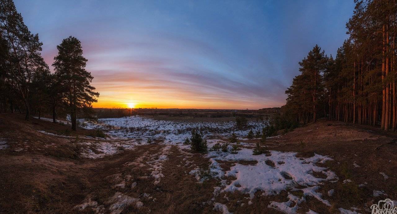 Весна, Закат, Кочетовский лес, Лес, Март, Моршанск, Моршанский район, Тамбовская область, Сергей Вьюнов