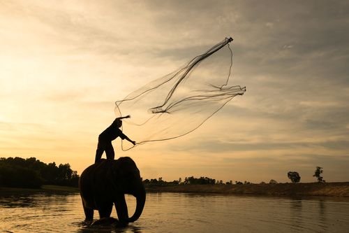 Thailand Elephant Village