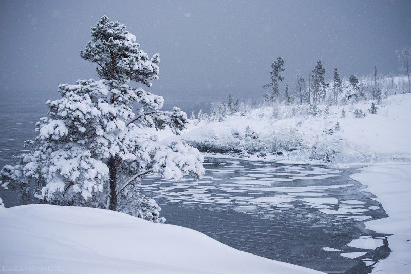карелия, снегопад, ладога, остров, шхеры , тишина, Silence of the snowfall #2 фото превью