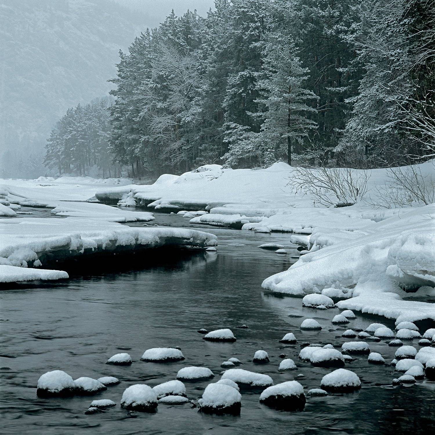 altai, katun, siberia, алтай, катунь, сибирь, Павел Филатов